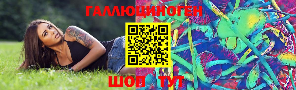 Псилоцибиновые грибы GOLDEN TEACHER Пугачёв